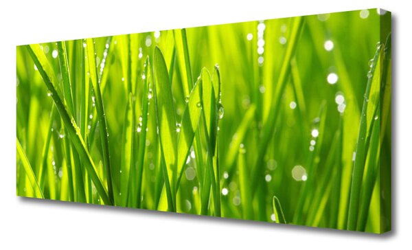 Obraz canvas Naturalny Urok Trawy