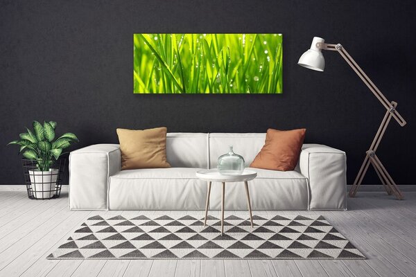 Obraz canvas Naturalny Urok Trawy