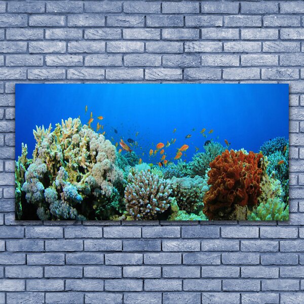 Obraz canvas Kolorowe Życie Oceanu