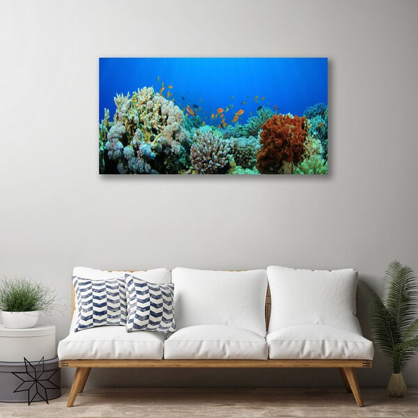 Obraz canvas Kolorowe Życie Oceanu