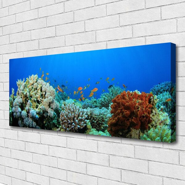 Obraz canvas Kolorowe Życie Oceanu