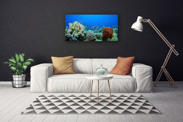 Obraz canvas Kolorowe Życie Oceanu