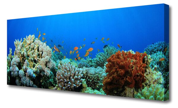 Obraz canvas Kolorowe Życie Oceanu