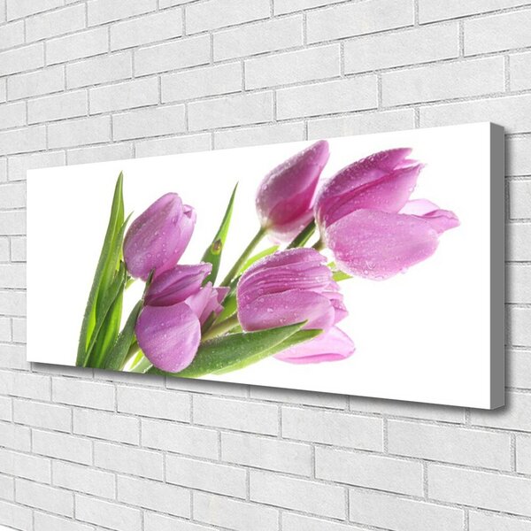 Obraz canvas Pastelowe Tulipany w Ogrodzie