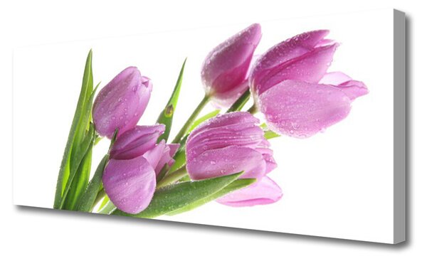 Obraz canvas Pastelowe Tulipany w Ogrodzie