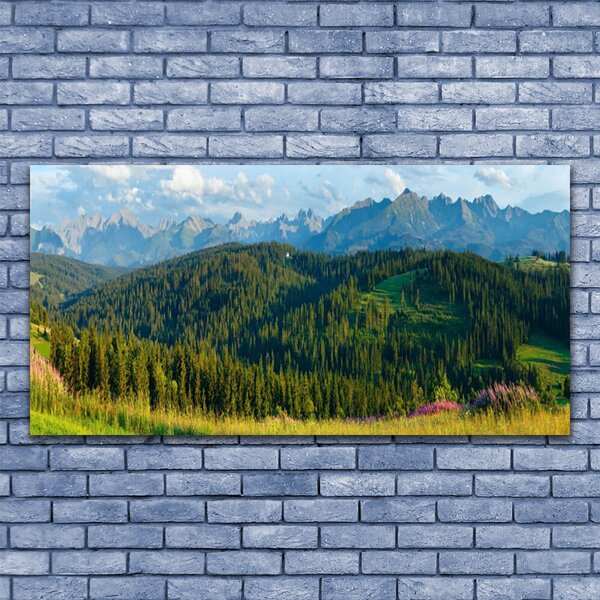 Obraz canvas Szczyty Gór w Gęstym Lesie
