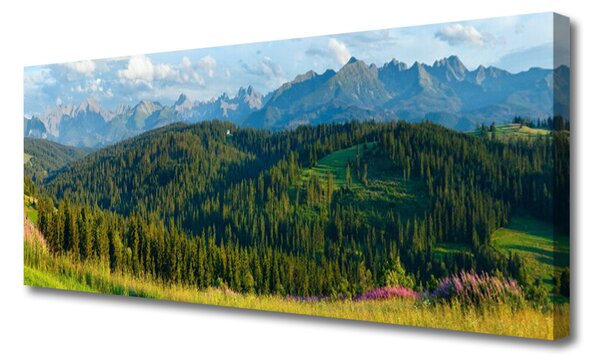 Obraz canvas Szczyty Gór w Gęstym Lesie
