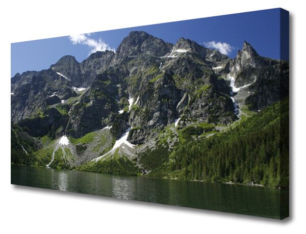 Obraz Canvas Góry Jezioro Las Krajobraz