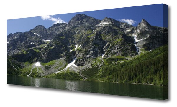 Zdjęcie na płótnie Panorama Alpejskiej Natury