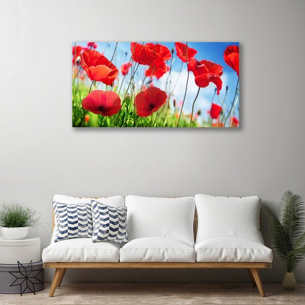 Obraz canvas Czerwone Maki w Polu