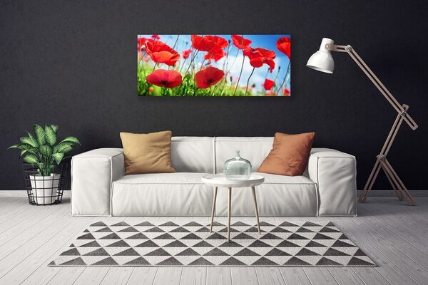 Obraz canvas Czerwone Maki w Polu