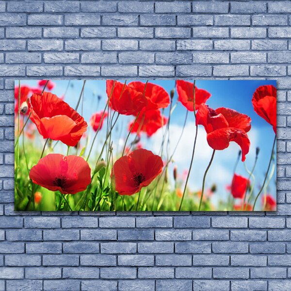 Obraz canvas Czerwone Maki w Polu