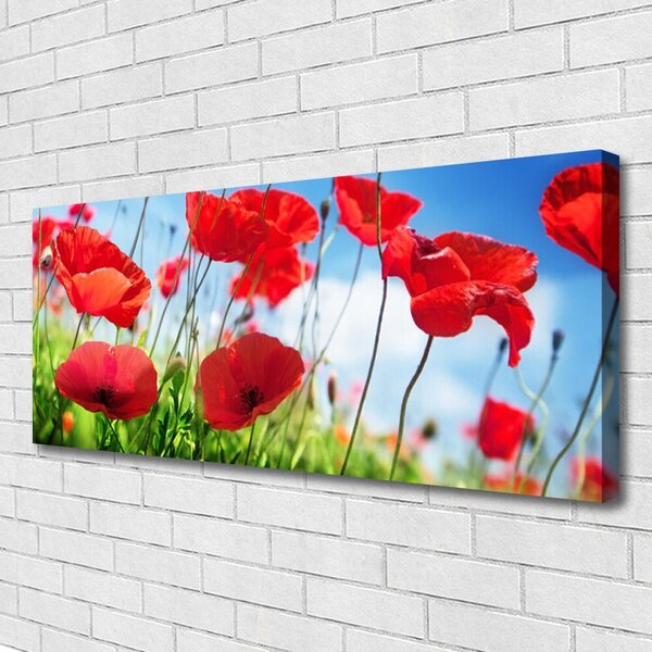 Obraz canvas Czerwone Maki w Polu