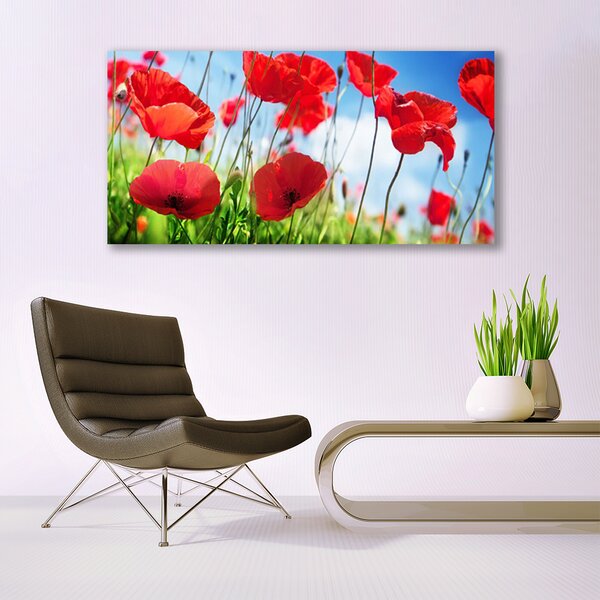 Obraz canvas Czerwone Maki w Polu