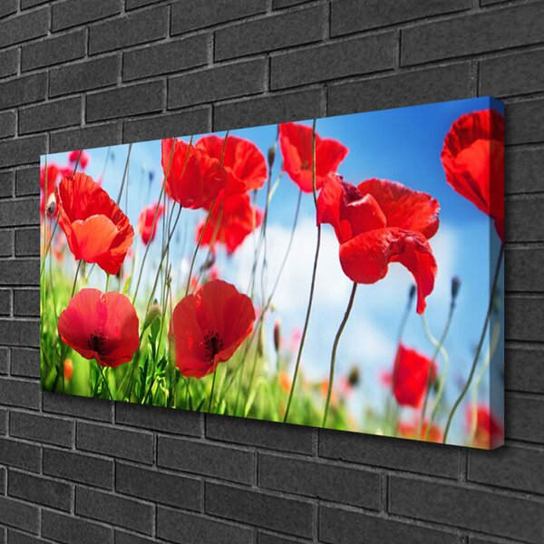 Obraz canvas Czerwone Maki w Polu