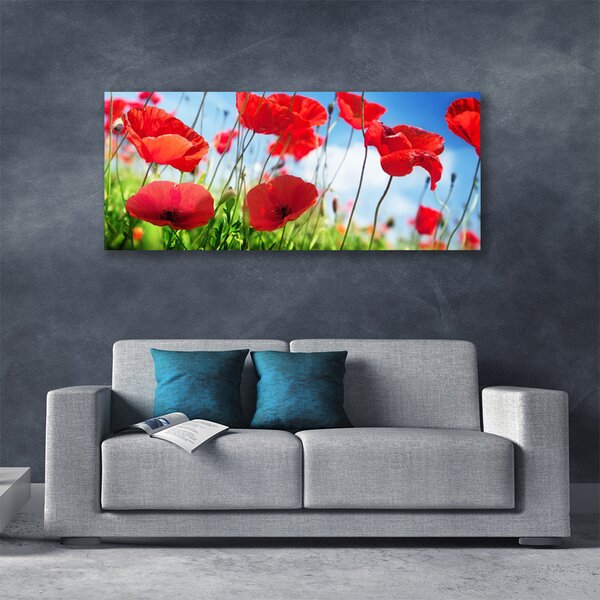 Obraz canvas Czerwone Maki w Polu