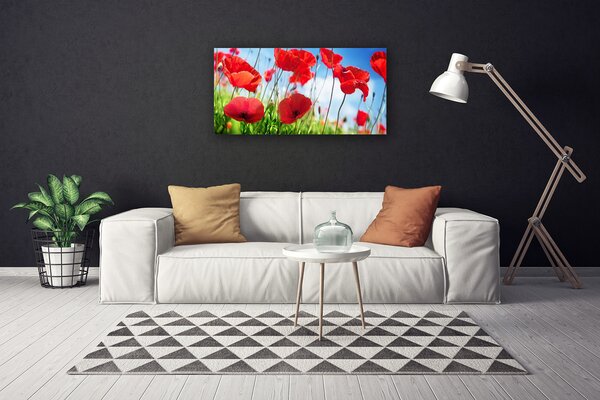 Obraz canvas Czerwone Maki w Polu