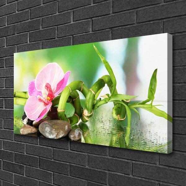 Obraz canvas na ścianę Świeże Pędy Zielonego Bambusa