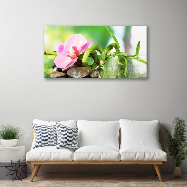 Obraz canvas na ścianę Świeże Pędy Zielonego Bambusa