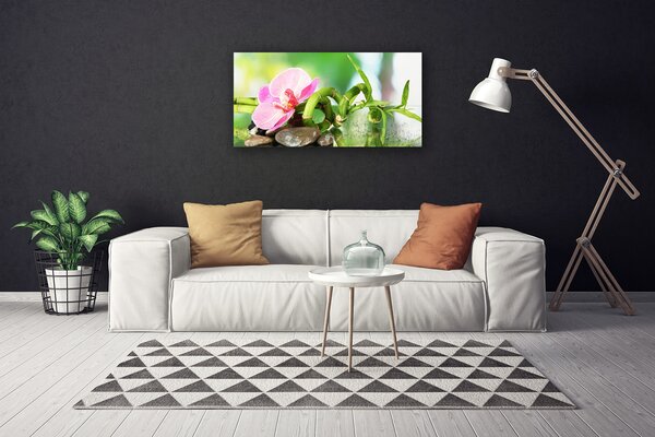 Obraz canvas na ścianę Świeże Pędy Zielonego Bambusa