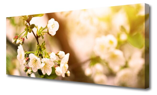 Obraz canvas Romantyczna Flora Ogrodowa
