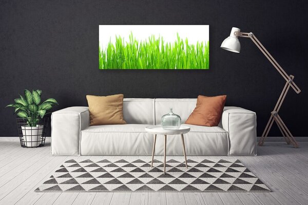 Obraz canvas Naturalna Świeżość Trawy