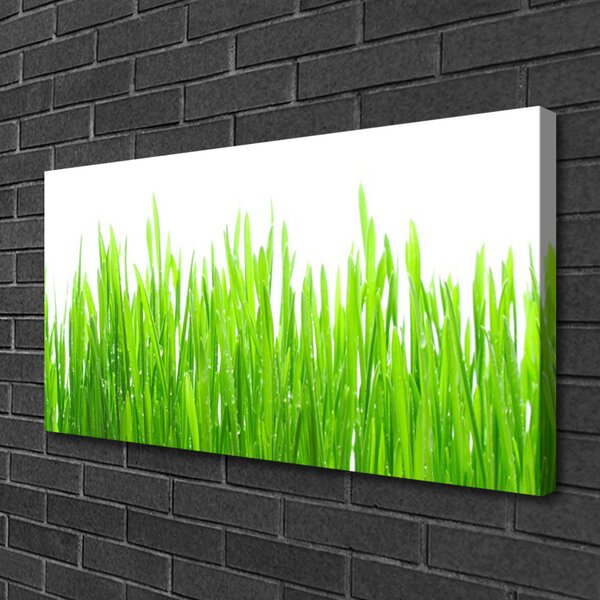 Obraz canvas Naturalna Świeżość Trawy