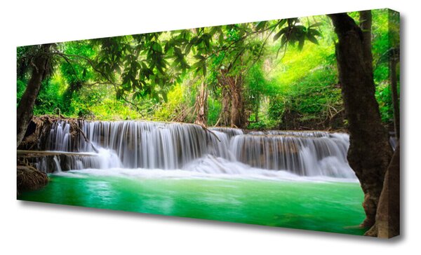 Obraz canvas Ukryty Wodospad w Gęstwinie