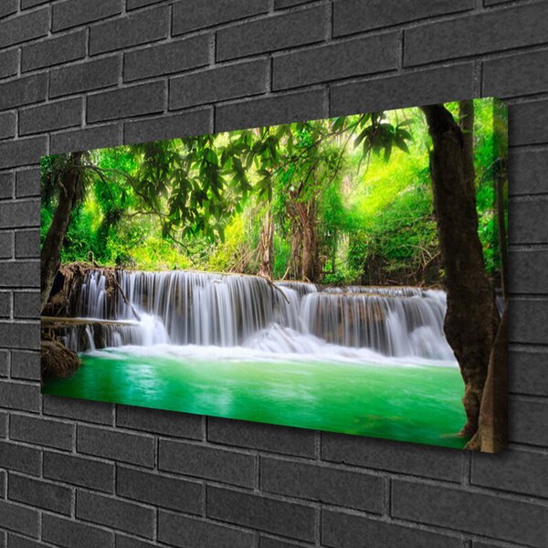 Obraz canvas Ukryty Wodospad w Gęstwinie
