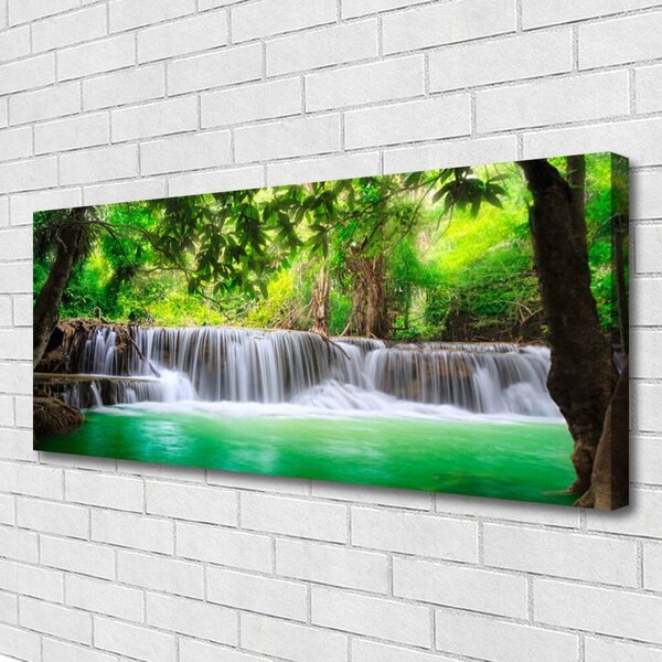 Obraz canvas Ukryty Wodospad w Gęstwinie