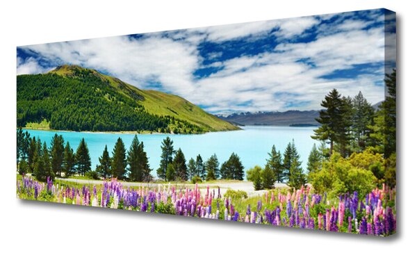Obraz canvas Panorama Alpejskiego Jeziora