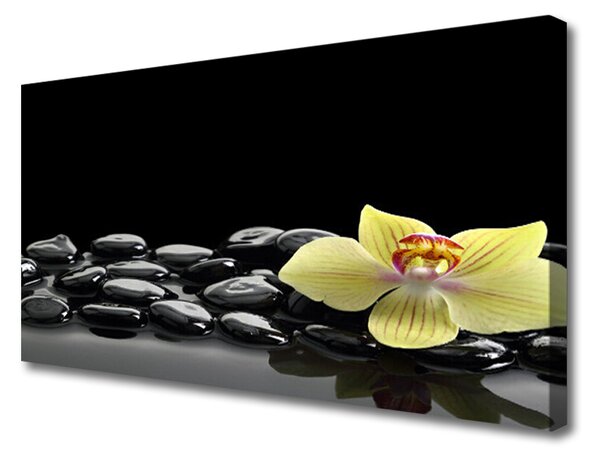 Obraz Canvas Kwiat Kuchnia Czarny
