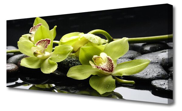 Obraz canvas Egzotyczny Kwiat Orchidei