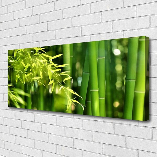 Obraz canvas Botaniczny Motyw Bambusa