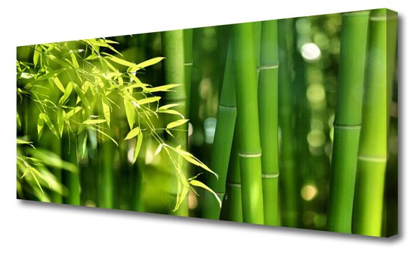 Obraz canvas Botaniczny Motyw Bambusa