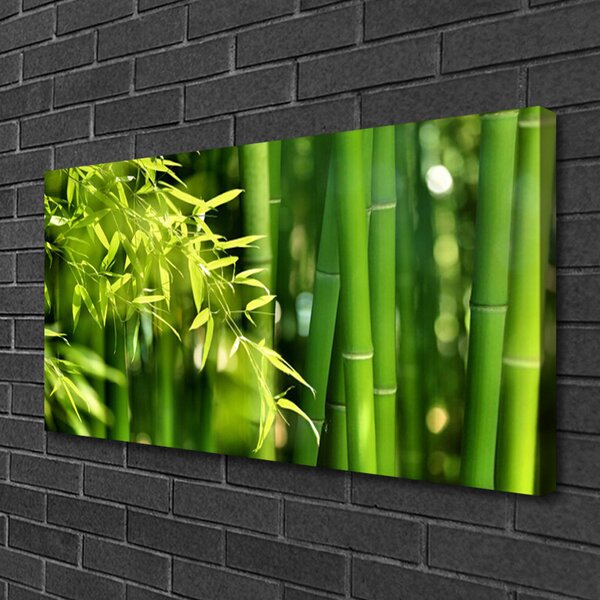 Obraz canvas Botaniczny Motyw Bambusa