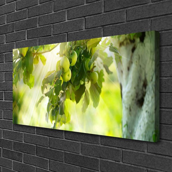 Obraz canvas Dojrzałe Jabłka na Gałęzi
