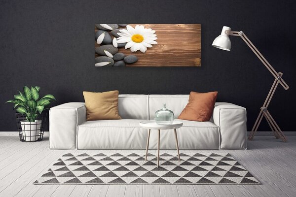 Obraz canvas Biała Stokrotka w Detalu