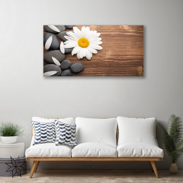 Obraz canvas Biała Stokrotka w Detalu