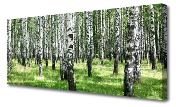 Obraz canvas Leśna Gęstwina i Trawy