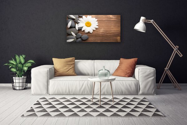Obraz canvas Biała Stokrotka w Detalu