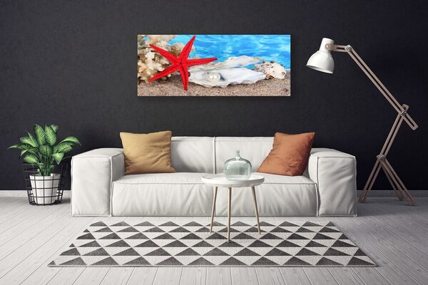 Obraz canvas Skarby Oceanicznego Dna