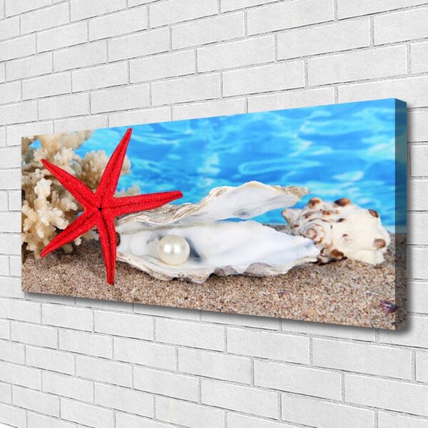 Obraz canvas Skarby Oceanicznego Dna