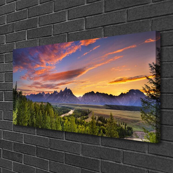 Obraz canvas Górskie Słońce w Gęstym Lesie