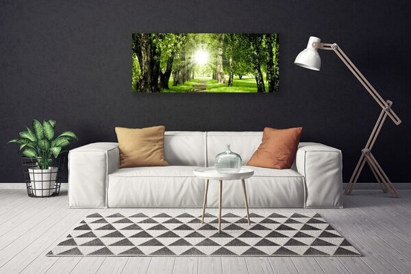 Obraz canvas Rozświetlona Ścieżka Leśna