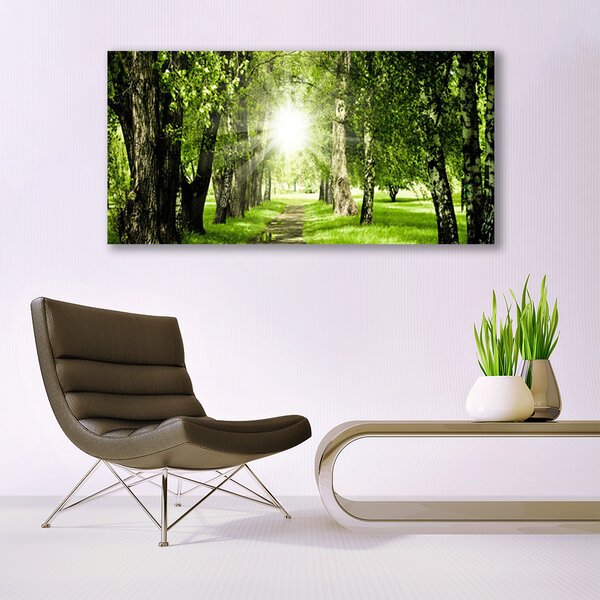 Obraz canvas Rozświetlona Ścieżka Leśna