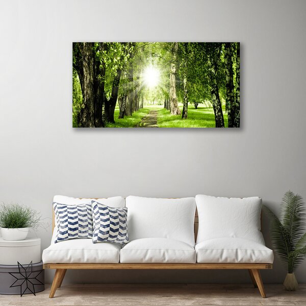 Obraz canvas Rozświetlona Ścieżka Leśna