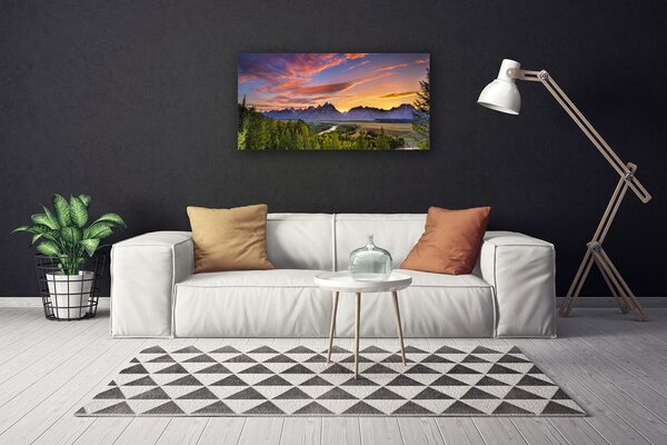 Obraz canvas Górskie Słońce w Gęstym Lesie