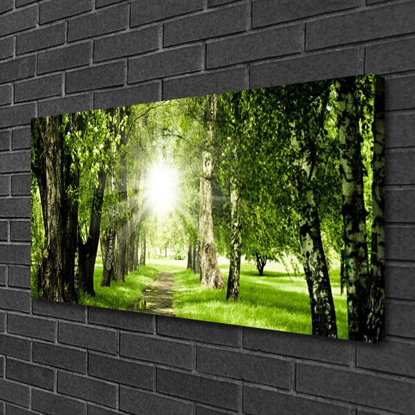 Obraz canvas Rozświetlona Ścieżka Leśna