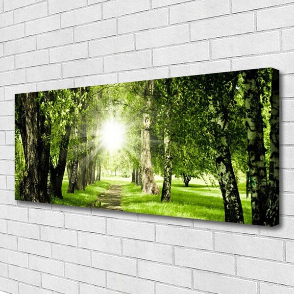Obraz canvas Rozświetlona Ścieżka Leśna